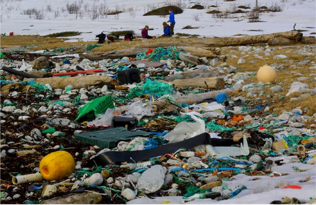 Ingen bestrider at plast i havet er et alvorlig miljøproblem. Men det er ikke enkelt å kvantifisere det. Bildet viser opprydning av Rekvika ved Tromsø i 2010. Foto: Bo Eide.