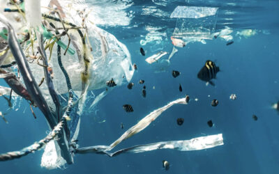 Handelens Miljøfond støtter miljøtiltak knyttet til plast. Foto Naja Bertolt Jensen / Unsplash