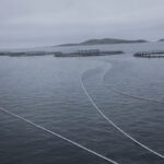 Nå er utvidet produsentansvar for plastholdig utstyr fra fiskeri, fritidsfiske og akvakultur innført