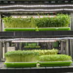 <i class="fa fa-plus" aria-hidden="true"></i> Voss Virka: Med industriell symbiose som strategi og biomasse som råstoff